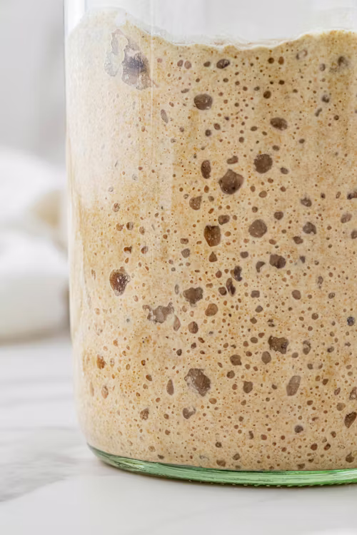 Healthy active starter with bubbles and rise marks