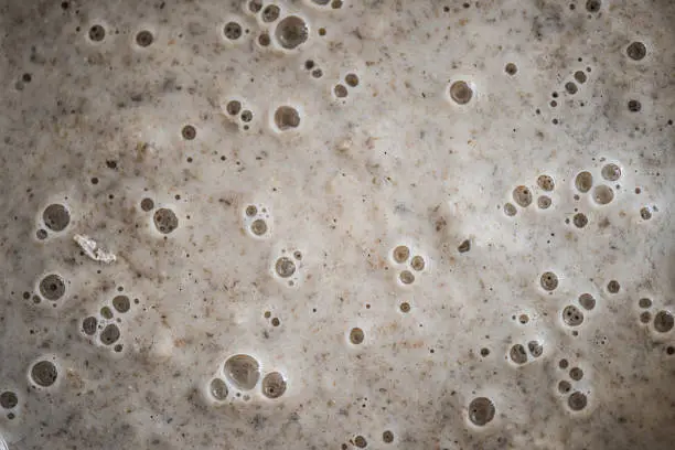 Starter with bubbles showing activity